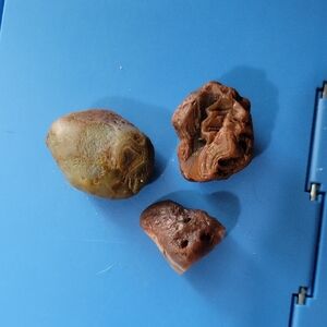 Natural Lake Superior Agates - Lot Of 3